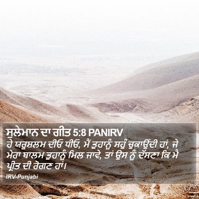 ਸੁਲੇਮਾਨ ਦਾ ਗੀਤ 5:8 PANIRV Bible Verse Image