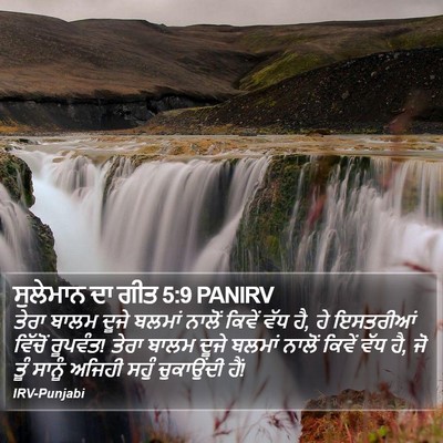 ਸੁਲੇਮਾਨ ਦਾ ਗੀਤ 5:9 PANIRV Bible Verse Image