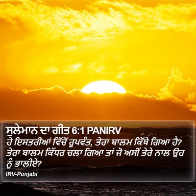 ਸੁਲੇਮਾਨ ਦਾ ਗੀਤ 6:1 PANIRV Bible Verse Image