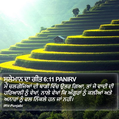 ਸੁਲੇਮਾਨ ਦਾ ਗੀਤ 6:11 PANIRV Bible Verse Image