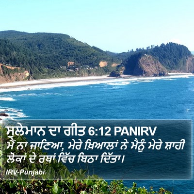 ਸੁਲੇਮਾਨ ਦਾ ਗੀਤ 6:12 PANIRV Bible Verse Image