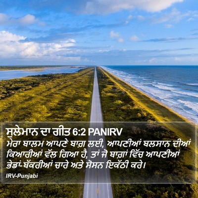 ਸੁਲੇਮਾਨ ਦਾ ਗੀਤ 6:2 PANIRV Bible Verse Image