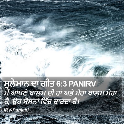 ਸੁਲੇਮਾਨ ਦਾ ਗੀਤ 6:3 PANIRV Bible Verse Image
