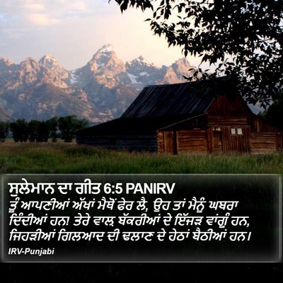 ਸੁਲੇਮਾਨ ਦਾ ਗੀਤ 6:5 PANIRV Bible Verse Image