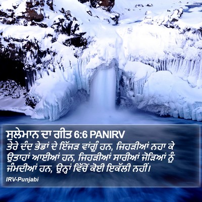 ਸੁਲੇਮਾਨ ਦਾ ਗੀਤ 6:6 PANIRV Bible Verse Image