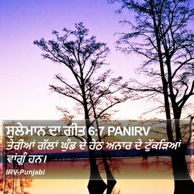 ਸੁਲੇਮਾਨ ਦਾ ਗੀਤ 6:7 PANIRV Bible Verse Image