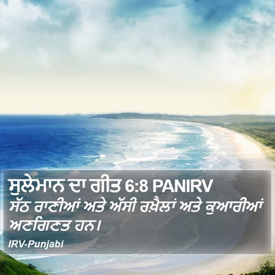 ਸੁਲੇਮਾਨ ਦਾ ਗੀਤ 6:8 PANIRV Bible Verse Image