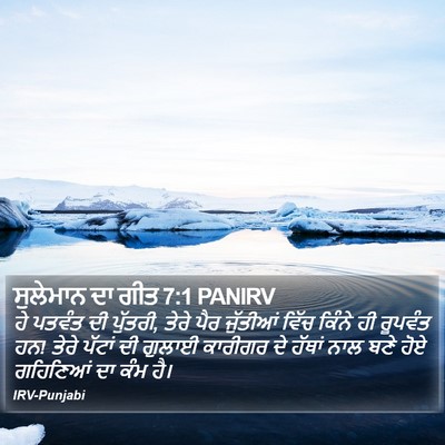 ਸੁਲੇਮਾਨ ਦਾ ਗੀਤ 7:1 PANIRV Bible Verse Image