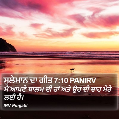 ਸੁਲੇਮਾਨ ਦਾ ਗੀਤ 7:10 PANIRV Bible Verse Image