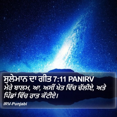 ਸੁਲੇਮਾਨ ਦਾ ਗੀਤ 7:11 PANIRV Bible Verse Image