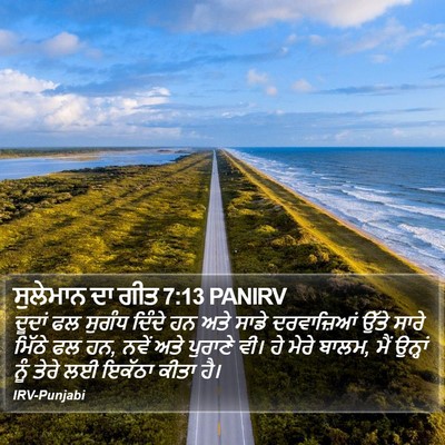 ਸੁਲੇਮਾਨ ਦਾ ਗੀਤ 7:13 PANIRV Bible Verse Image