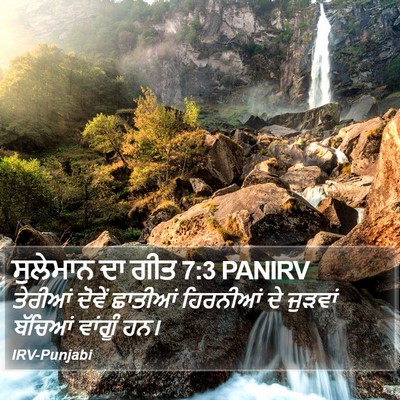 ਸੁਲੇਮਾਨ ਦਾ ਗੀਤ 7:3 PANIRV Bible Verse Image