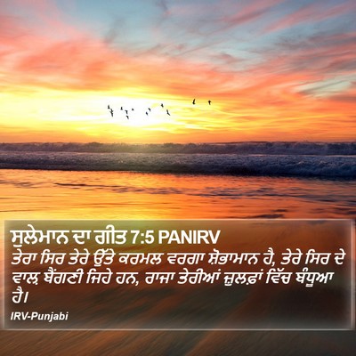 ਸੁਲੇਮਾਨ ਦਾ ਗੀਤ 7:5 PANIRV Bible Verse Image