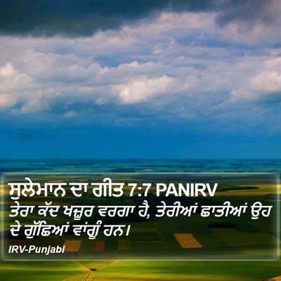 ਸੁਲੇਮਾਨ ਦਾ ਗੀਤ 7:7 PANIRV Bible Verse Image