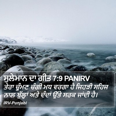 ਸੁਲੇਮਾਨ ਦਾ ਗੀਤ 7:9 PANIRV Bible Verse Image
