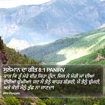 ਸੁਲੇਮਾਨ ਦਾ ਗੀਤ 8:1 PANIRV Bible Verse Image