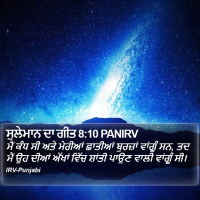 ਸੁਲੇਮਾਨ ਦਾ ਗੀਤ 8:10 PANIRV Bible Verse Image