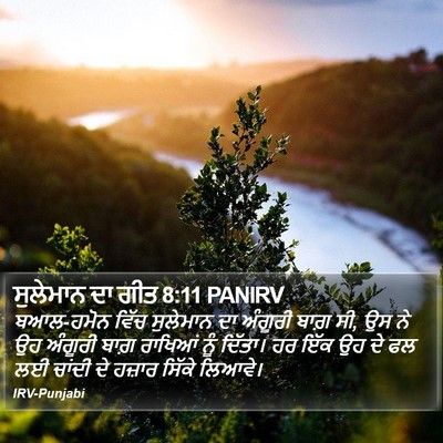 ਸੁਲੇਮਾਨ ਦਾ ਗੀਤ 8:11 PANIRV Bible Verse Image