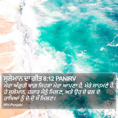 ਸੁਲੇਮਾਨ ਦਾ ਗੀਤ 8:12 PANIRV Bible Verse Image