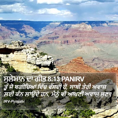 ਸੁਲੇਮਾਨ ਦਾ ਗੀਤ 8:13 PANIRV Bible Verse Image