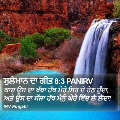 ਸੁਲੇਮਾਨ ਦਾ ਗੀਤ 8:3 PANIRV Bible Verse Image