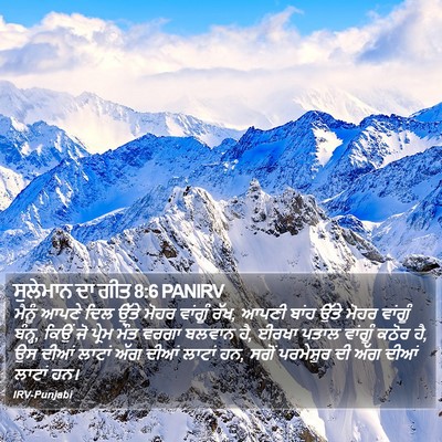 ਸੁਲੇਮਾਨ ਦਾ ਗੀਤ 8:6 PANIRV Bible Verse Image