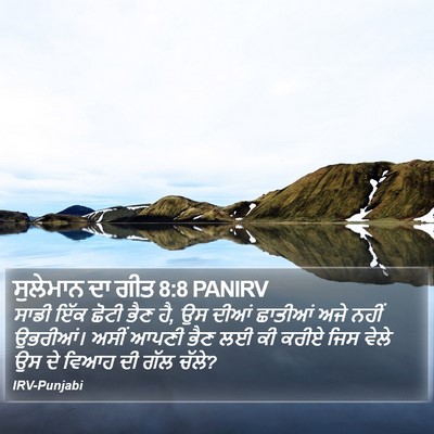 ਸੁਲੇਮਾਨ ਦਾ ਗੀਤ 8:8 PANIRV Bible Verse Image