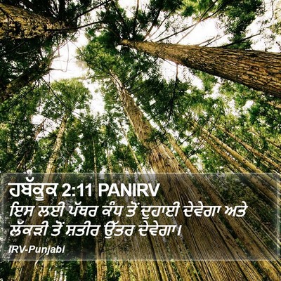 ਹਬੱਕੂਕ 2:11 PANIRV Bible Verse Image