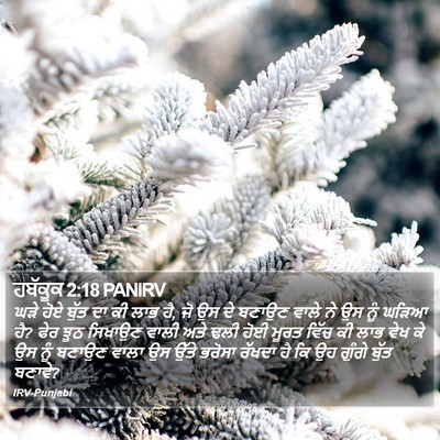 ਹਬੱਕੂਕ 2:18 PANIRV Bible Verse Image