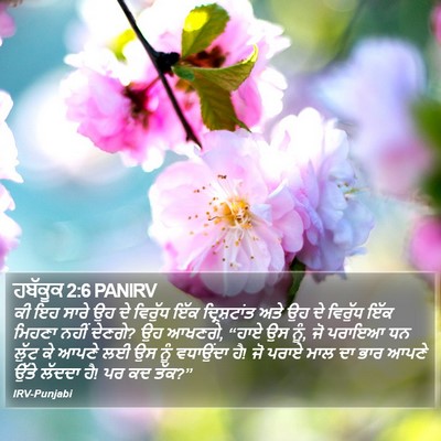 ਹਬੱਕੂਕ 2:6 PANIRV Bible Verse Image
