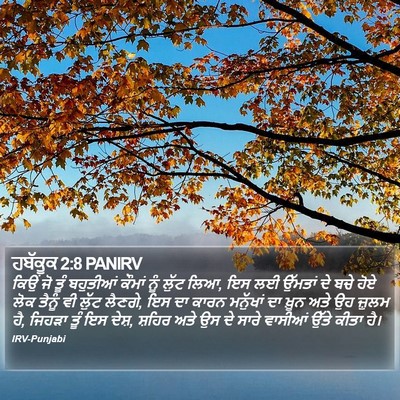 ਹਬੱਕੂਕ 2:8 PANIRV Bible Verse Image