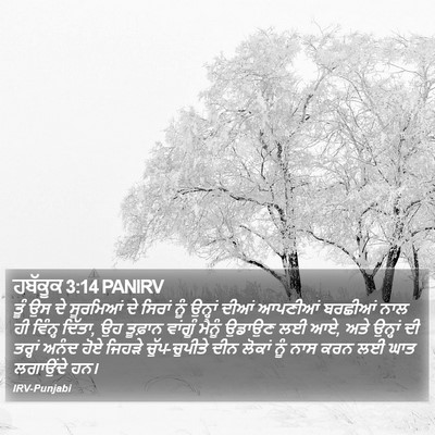 ਹਬੱਕੂਕ 3:14 PANIRV Bible Verse Image