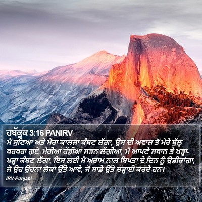 ਹਬੱਕੂਕ 3:16 PANIRV Bible Verse Image