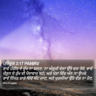 ਹਬੱਕੂਕ 3:17 PANIRV Bible Verse Image