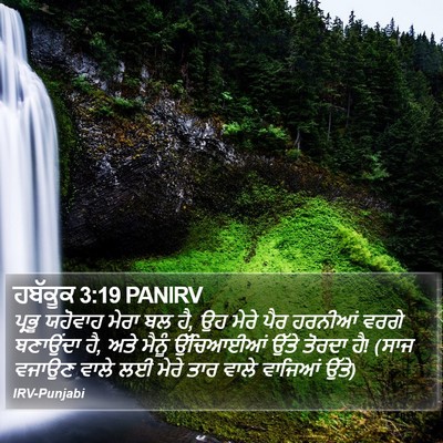 ਹਬੱਕੂਕ 3:19 PANIRV Bible Verse Image