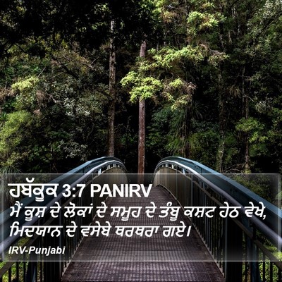 ਹਬੱਕੂਕ 3:7 PANIRV Bible Verse Image