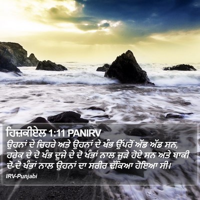 ਹਿਜ਼ਕੀਏਲ 1:11 PANIRV Bible Verse Image