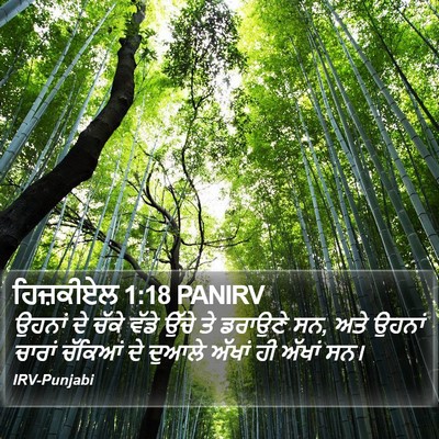 ਹਿਜ਼ਕੀਏਲ 1:18 PANIRV Bible Verse Image