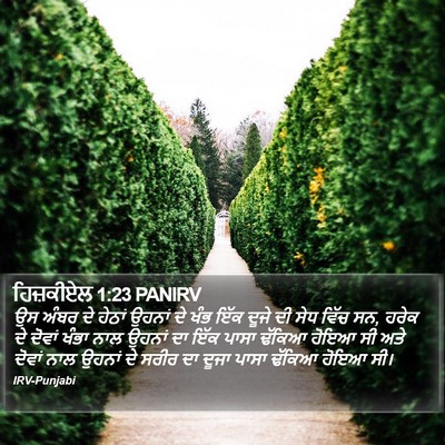 ਹਿਜ਼ਕੀਏਲ 1:23 PANIRV Bible Verse Image
