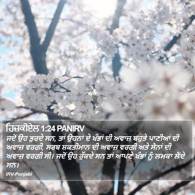ਹਿਜ਼ਕੀਏਲ 1:24 PANIRV Bible Verse Image