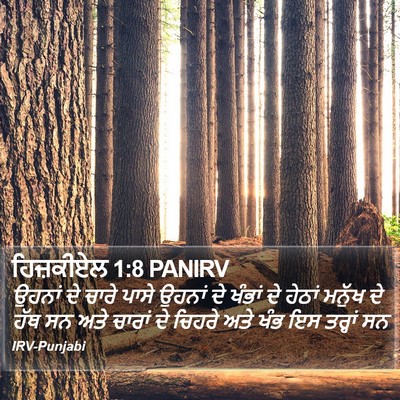 ਹਿਜ਼ਕੀਏਲ 1:8 PANIRV Bible Verse Image