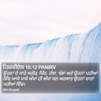 ਹਿਜ਼ਕੀਏਲ 10:12 PANIRV Bible Verse Image