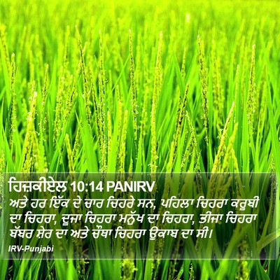 ਹਿਜ਼ਕੀਏਲ 10:14 PANIRV Bible Verse Image