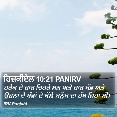 ਹਿਜ਼ਕੀਏਲ 10:21 PANIRV Bible Verse Image