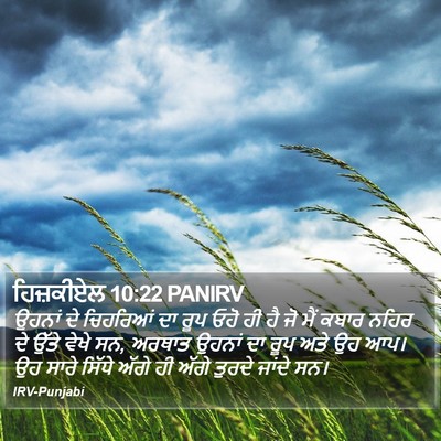 ਹਿਜ਼ਕੀਏਲ 10:22 PANIRV Bible Verse Image