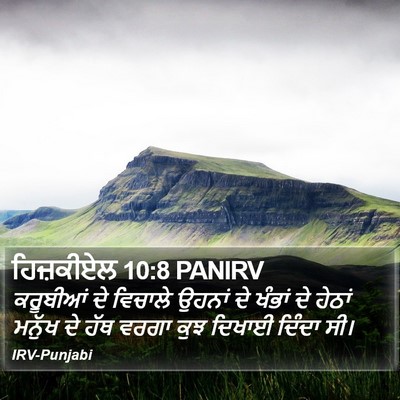 ਹਿਜ਼ਕੀਏਲ 10:8 PANIRV Bible Verse Image
