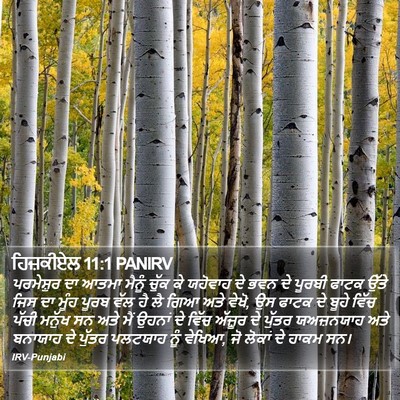 ਹਿਜ਼ਕੀਏਲ 11:1 PANIRV Bible Verse Image