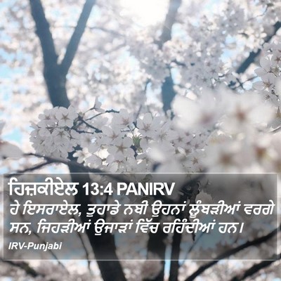 ਹਿਜ਼ਕੀਏਲ 13:4 PANIRV Bible Verse Image