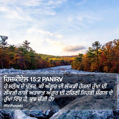 ਹਿਜ਼ਕੀਏਲ 15:2 PANIRV Bible Verse Image