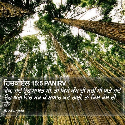 ਹਿਜ਼ਕੀਏਲ 15:5 PANIRV Bible Verse Image